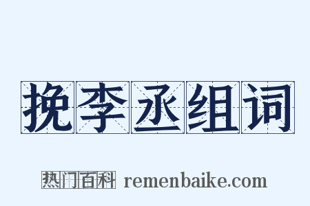 挽李丞组词是什么意思的图片